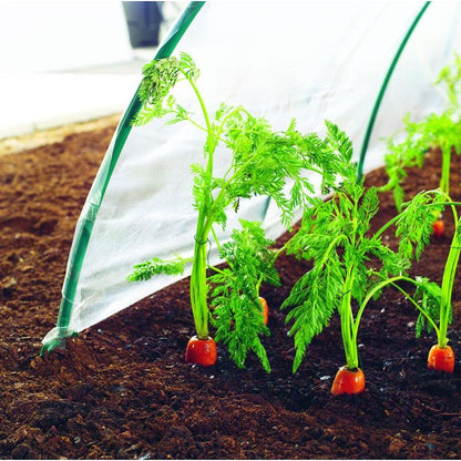 Filme Climafilm Nortene 2 x 10 m para o cultivo precoce de hortícolas