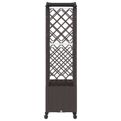 Cama Elevada Con Trellis Y Techo Marrón 164 X 40 X 144 Cm Pp_4