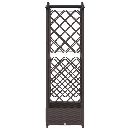 Cama Elevada Con Trellis Y Techo Marrón 124 X 40 X 123 Cm Pp_3