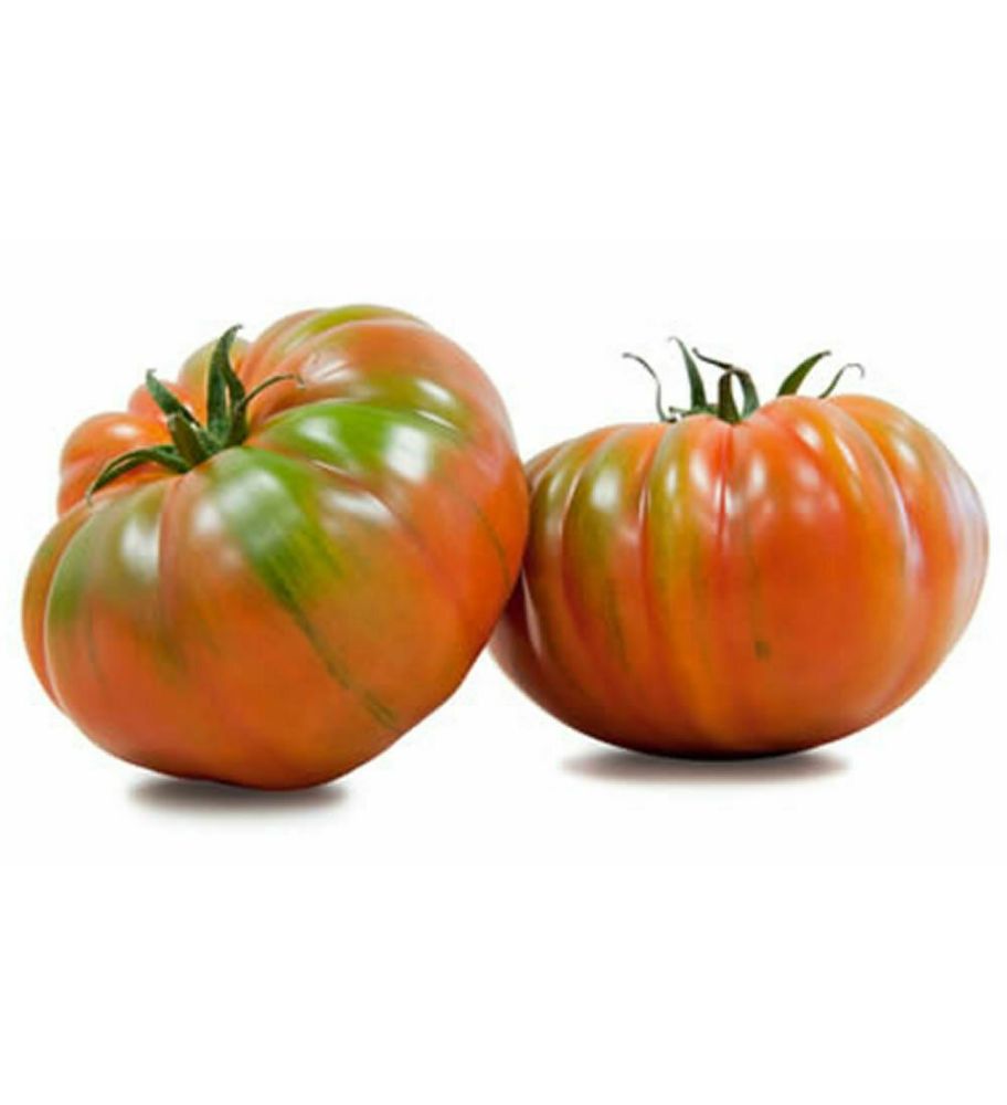 Plantón Tomate Marmande Raf (10 Unidades)_0