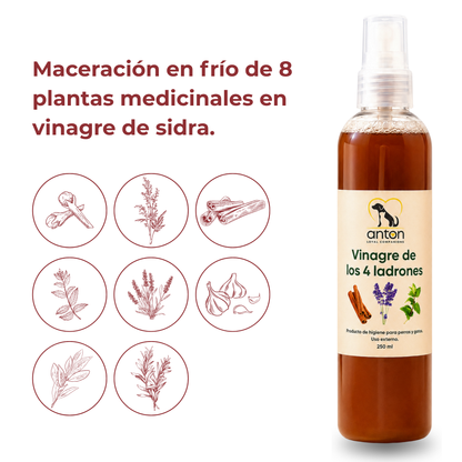 Vinagre de los 4 Ladrones para Perros y Gatos – 250ml_2