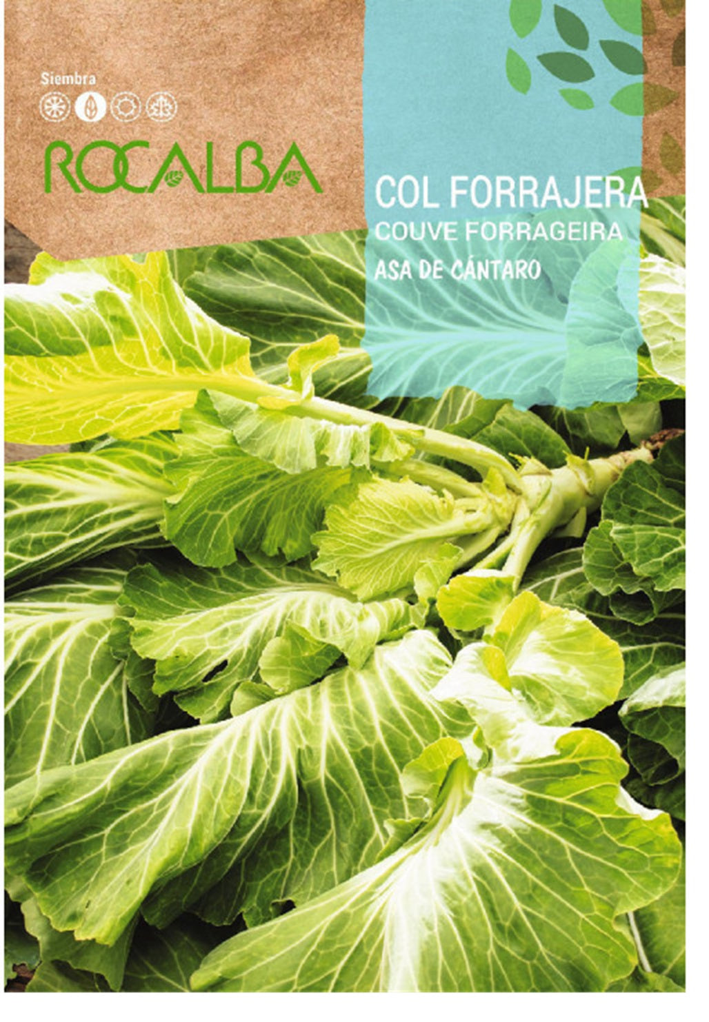 Semillas Col Forrajera Asa De Cantaro 8g_0