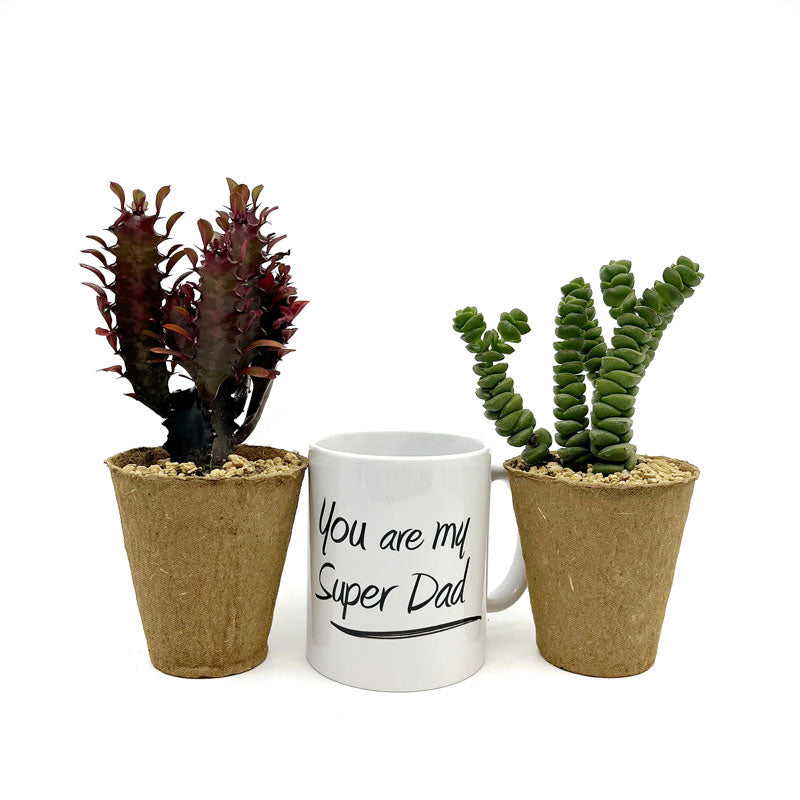 Pack Regalo Día Del Padre Taza Padresucu + Plantas_2