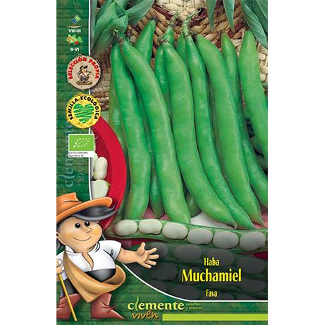 Sementes orgânicas de fava Muchamiel