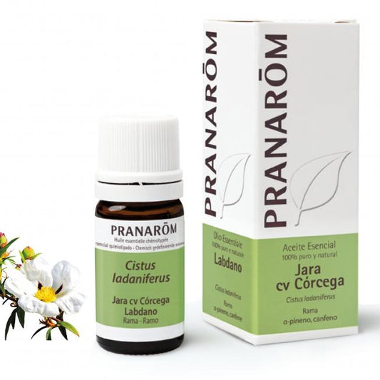 Jara Cv Corcega Rama Pranarom óleo essencial 5 ml