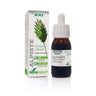 Extrato de Alpiste S XXI Soria Natural 50 ml