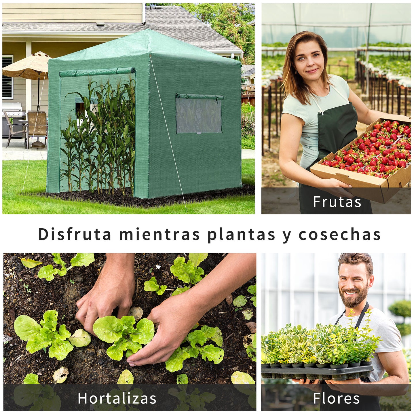 Outsunny Invernadero De Jardín Plegable Cultivo Planta 240x180x240 Cm De Acero_3