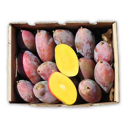 Mangos Ecológico Osteen Caja De 2kg_0