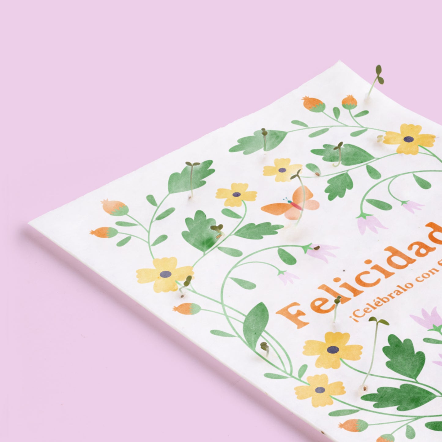 Postal Plantable Felicidades – Papel de Algodón Reciclado con Semillas de Flores - Resetea_2