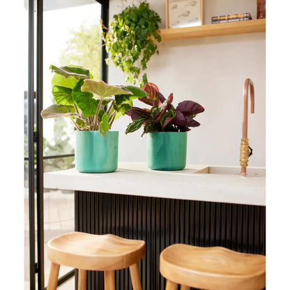 Vaso redondo Ocean Elho reciclado verde Pacífico 22 cm