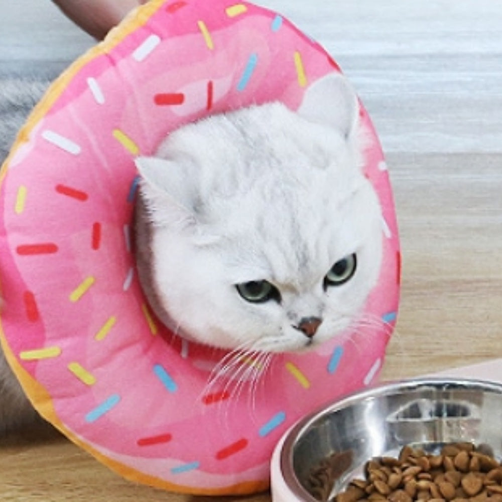 Intimeg Collar De Taza Con Forma De Gato En Forma De Dona_3