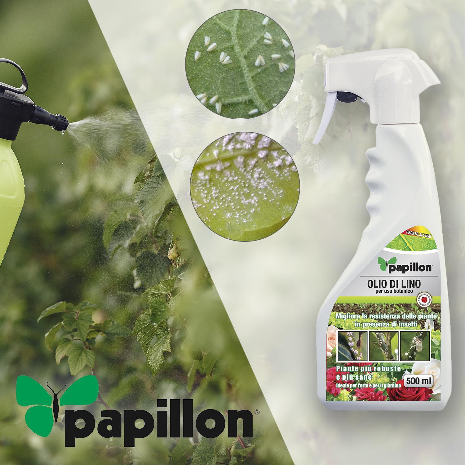 Aceite De Linaza Para Pulgon Cochinilla.500 Ml_1