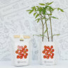 Kit de jardim de bolso: tomate cereja