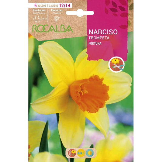 Bulbo de trombeta Narciso Fortuna amarelo laranja 5 peças Rocalba