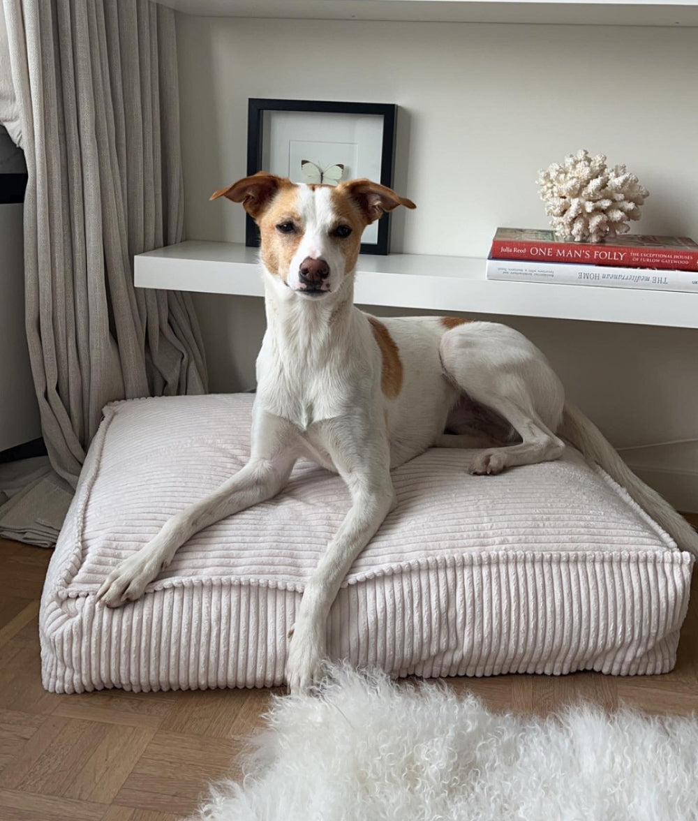 Cafide Cama De Material Reciclado Para Perro Con Tejido De Pana Blanco. Modelo Cuadra._2