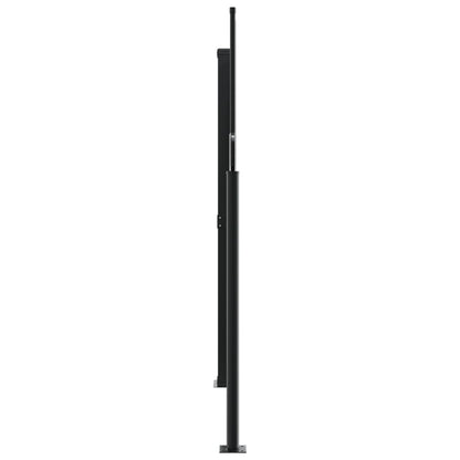 Toldo Lateral Retráctil Negro 160x1000 Cm_2