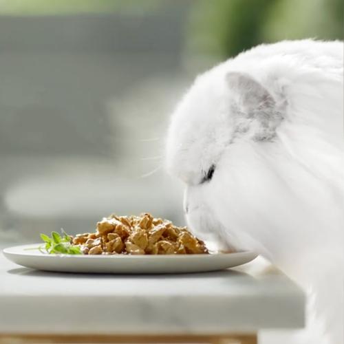 Delícias GOURMET PERLE em Molho de Frango e Carne (4x85g)