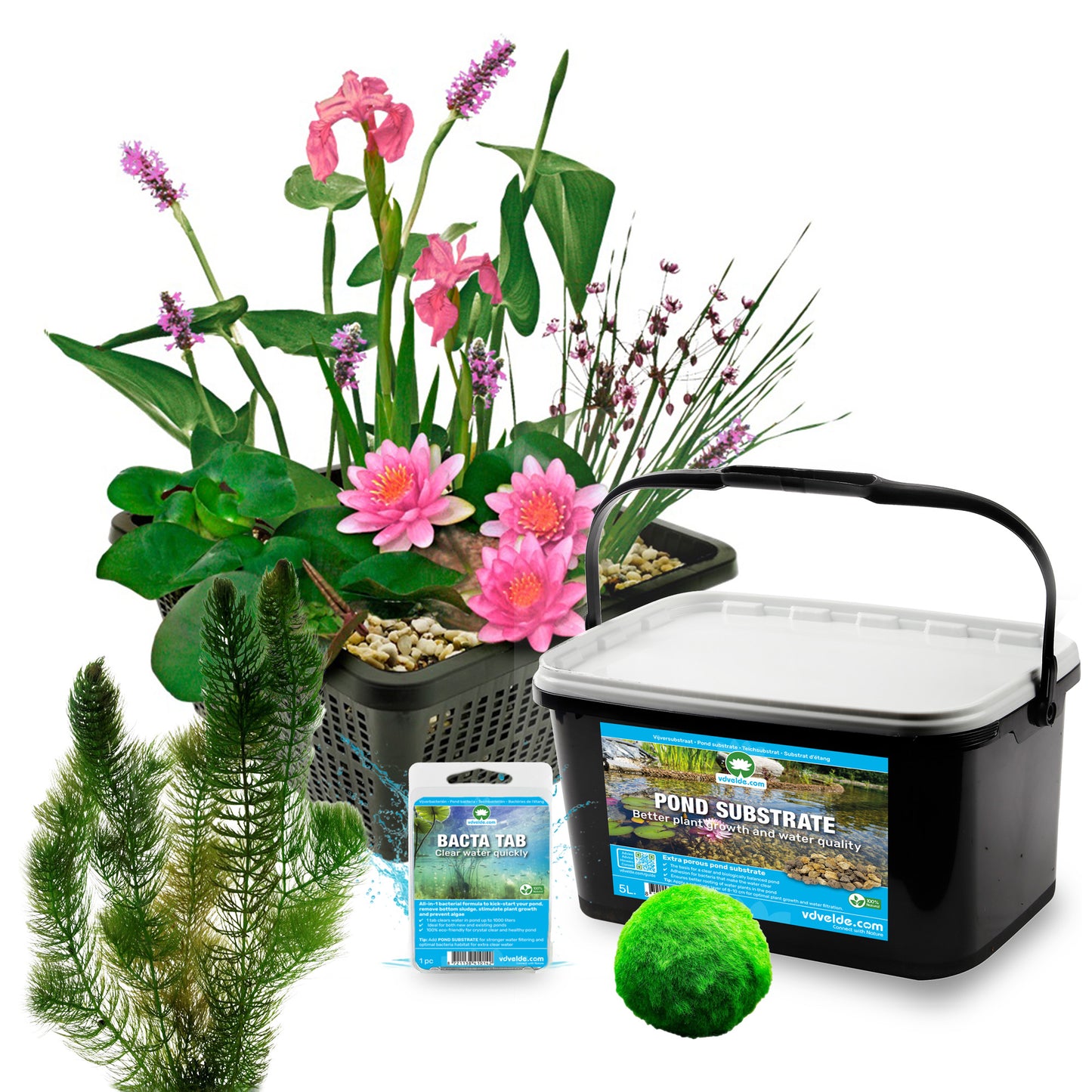 Mini Estanque Set Completo Rosa 25-90l - 11 Plantas Y Bacterias_2