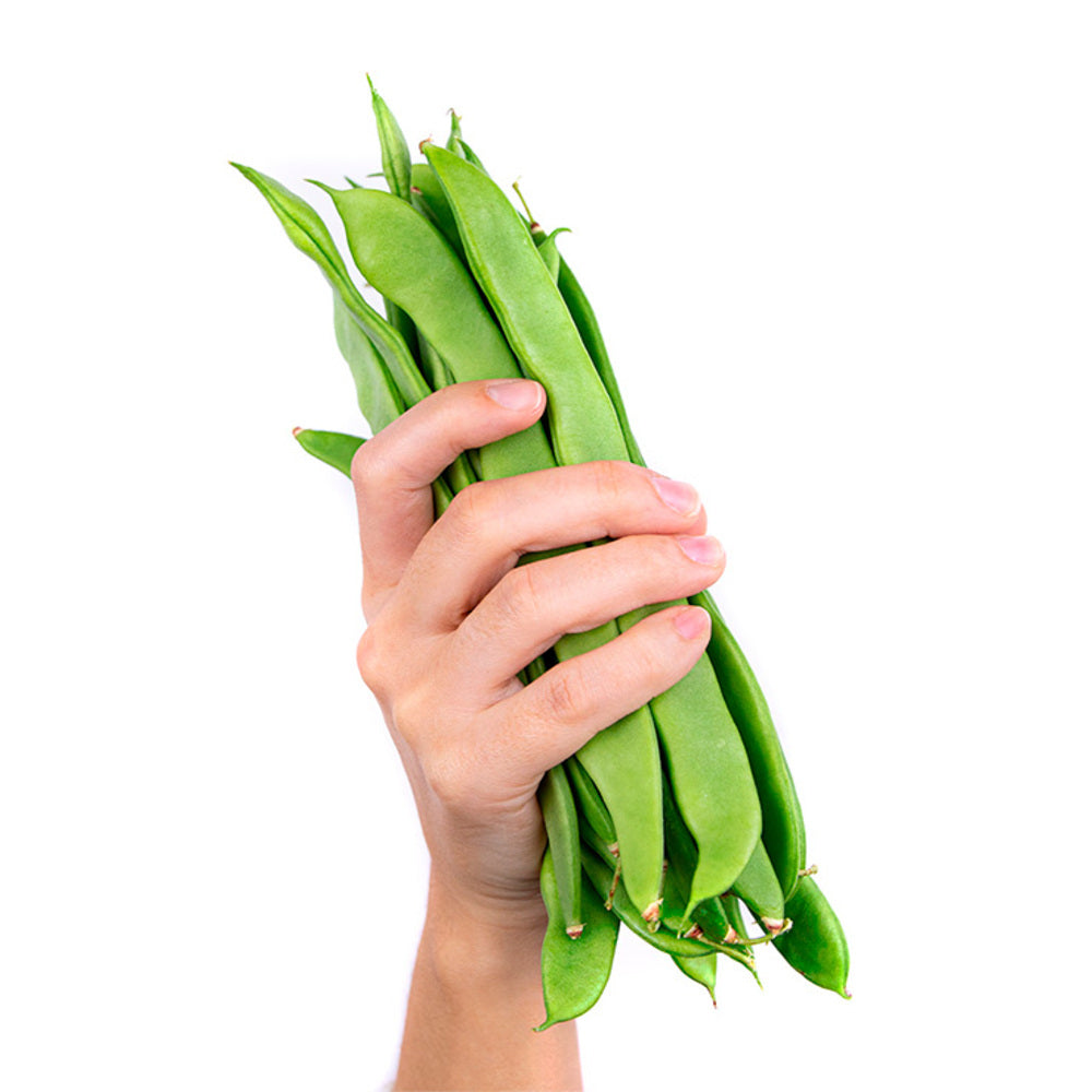 Judía Verde Helda 1,5kg Granada La Palma_3