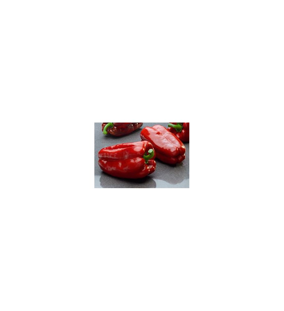 Plantón Pimiento Gordo Infante (10 Unidades)_3
