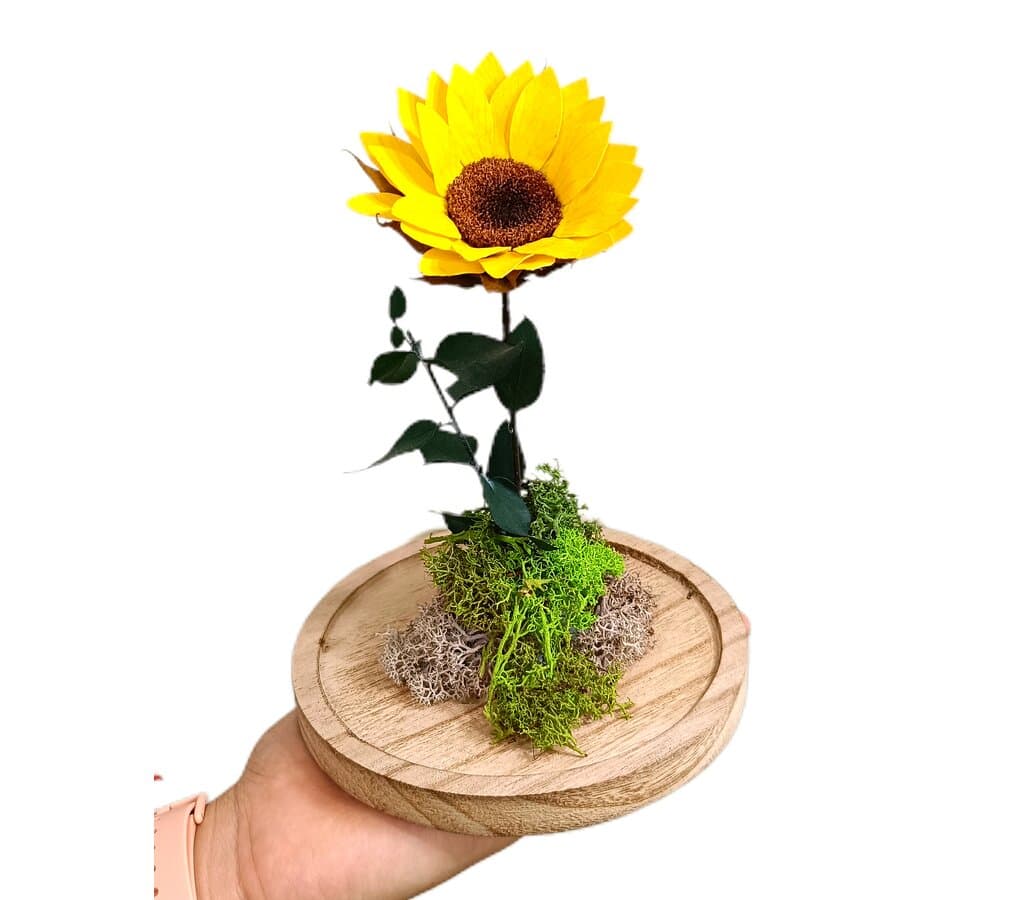 Mundo Eterno Girasol En Cúpula 12x20cm_1