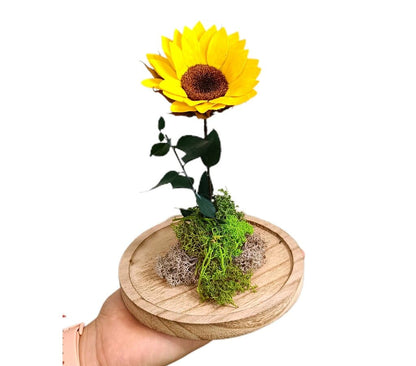 Mundo Eterno Girasol En Cúpula 12x20cm_1