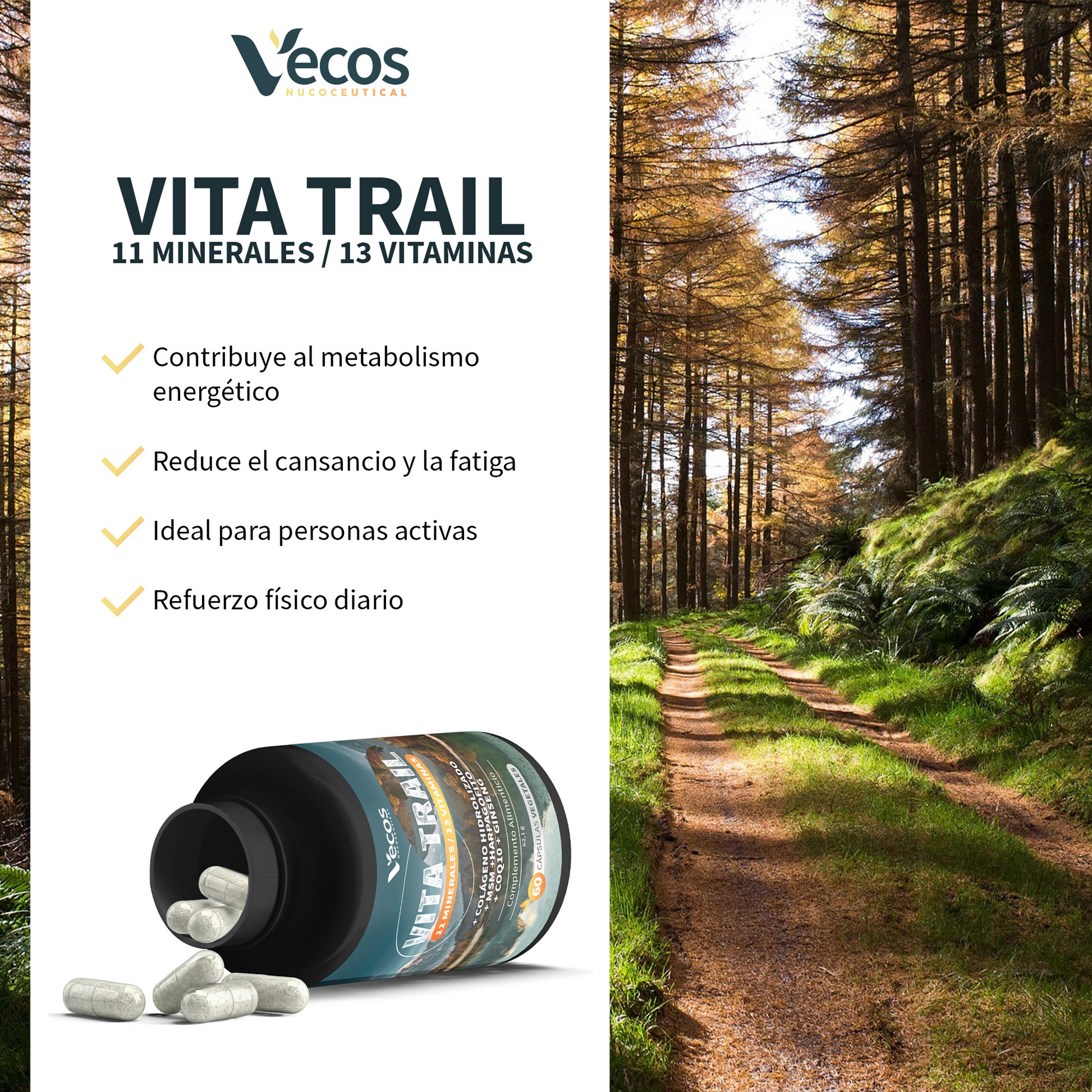 Vita Trail Vecos 60 Cápsulas | Rendimiento Físico Y Recuperación | Colágeno, Msm Y Harpagofito_3