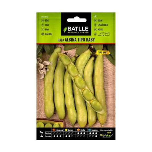 Sementes de Fava BABY Albino 50g