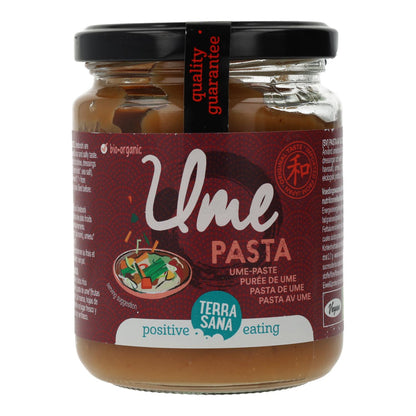 Massa Terrasana Orgânica Umeboshi 250 g