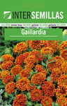 Pacote De Sementes De Gaillardia