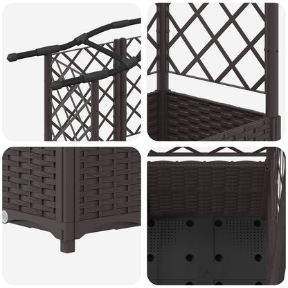 Cama Elevada Con Trellis Y Techo Marrón 163 X 40 X 138 Cm Pp_5
