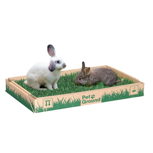 Petground, Parque Para Conejos, Casa De Césped Natural S: 62 X 40 Cm_0