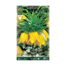 Bulbo Fritillaria Imperialis gigante amarelo Elite 1 unid.