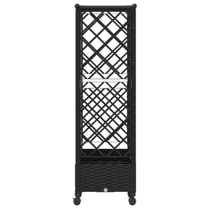 Cama Elevada Con Trellis Y Techo Negro 164 X 40 X 127 Cm Pp_3