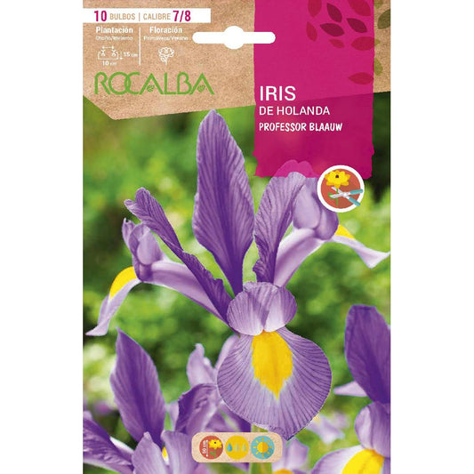 Bulbo Iris of Holland Professor Blaauw azul 10 unidades Rocalba
