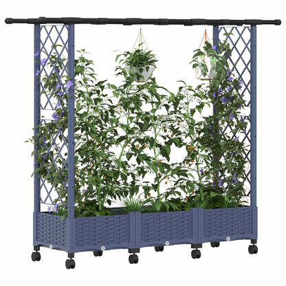 Cama Elevada Con Trellis Y Techo Gris 164 X 40 X 127 Cm Pp_2
