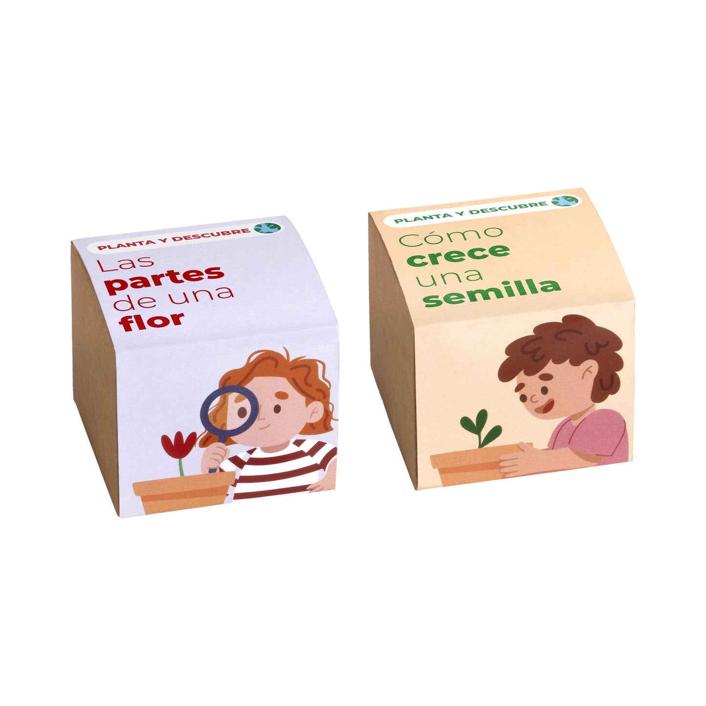 Pack 5 Kits de Cultivo Educativos Stem y Montessori | Regalo Didáctico para Niños - Resetea_1