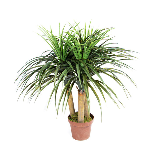 Planta Artificial Nolina Mini - Naturalidad Sin Mantenimiento 0.75 M / Multicolor_0