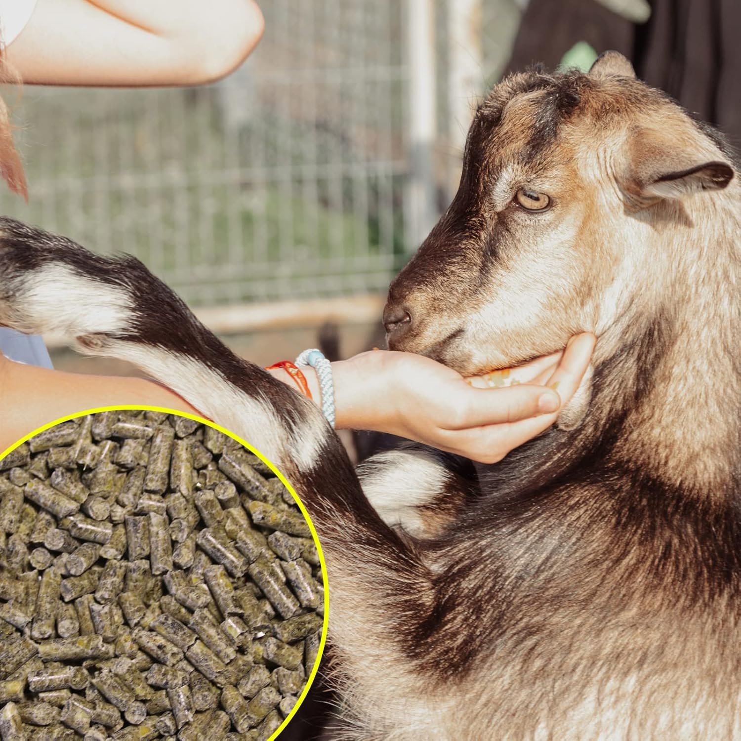 Pienso ECOLÓGICO para Cabras Reposición 20kg - Comida Natural, Saludable y Equillibrada para Cabras_2