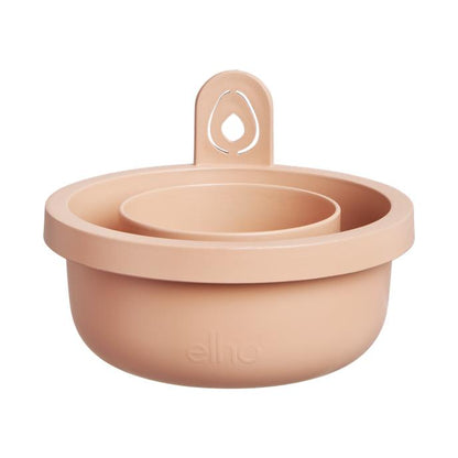 Incrível Abacate Elho Terra Abacate Germinante Pote