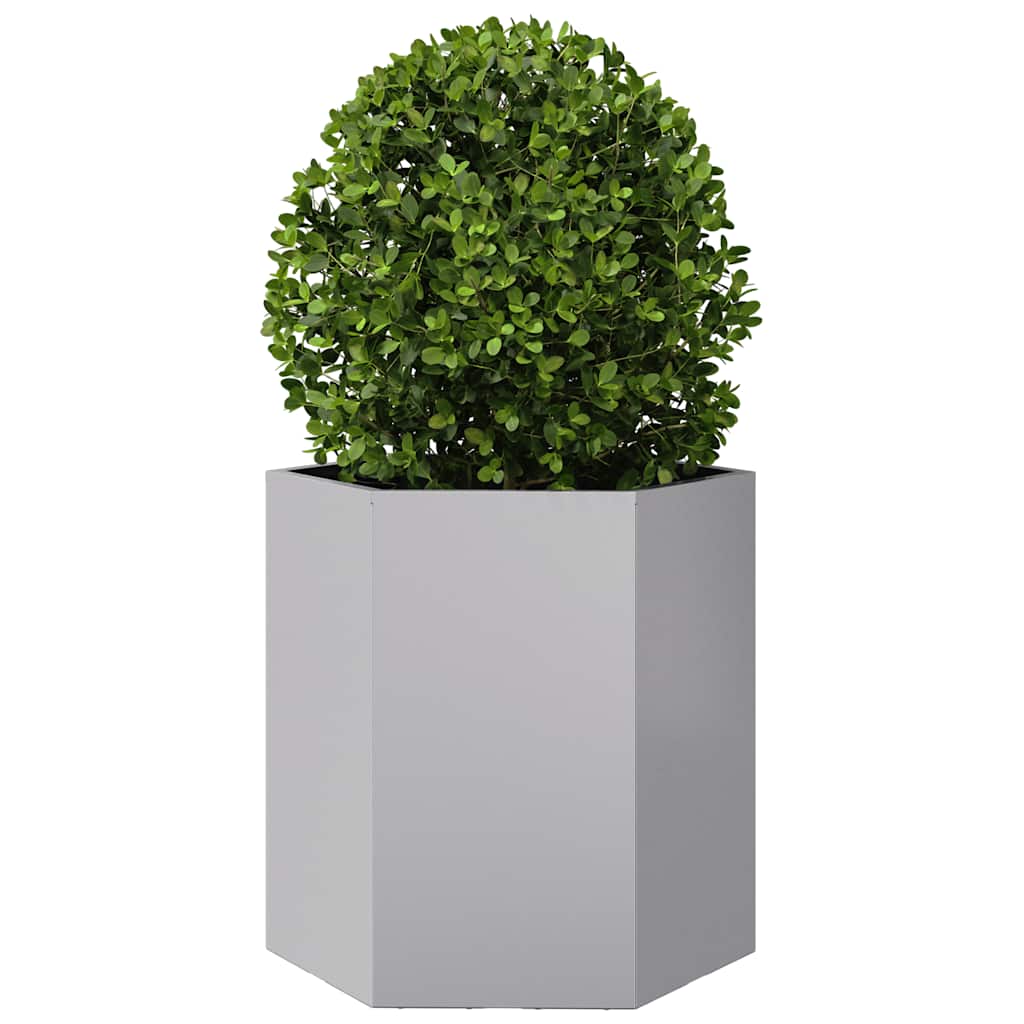 Jardinera Hexagonal Acero Inoxidable 46x40x45 Cm_2