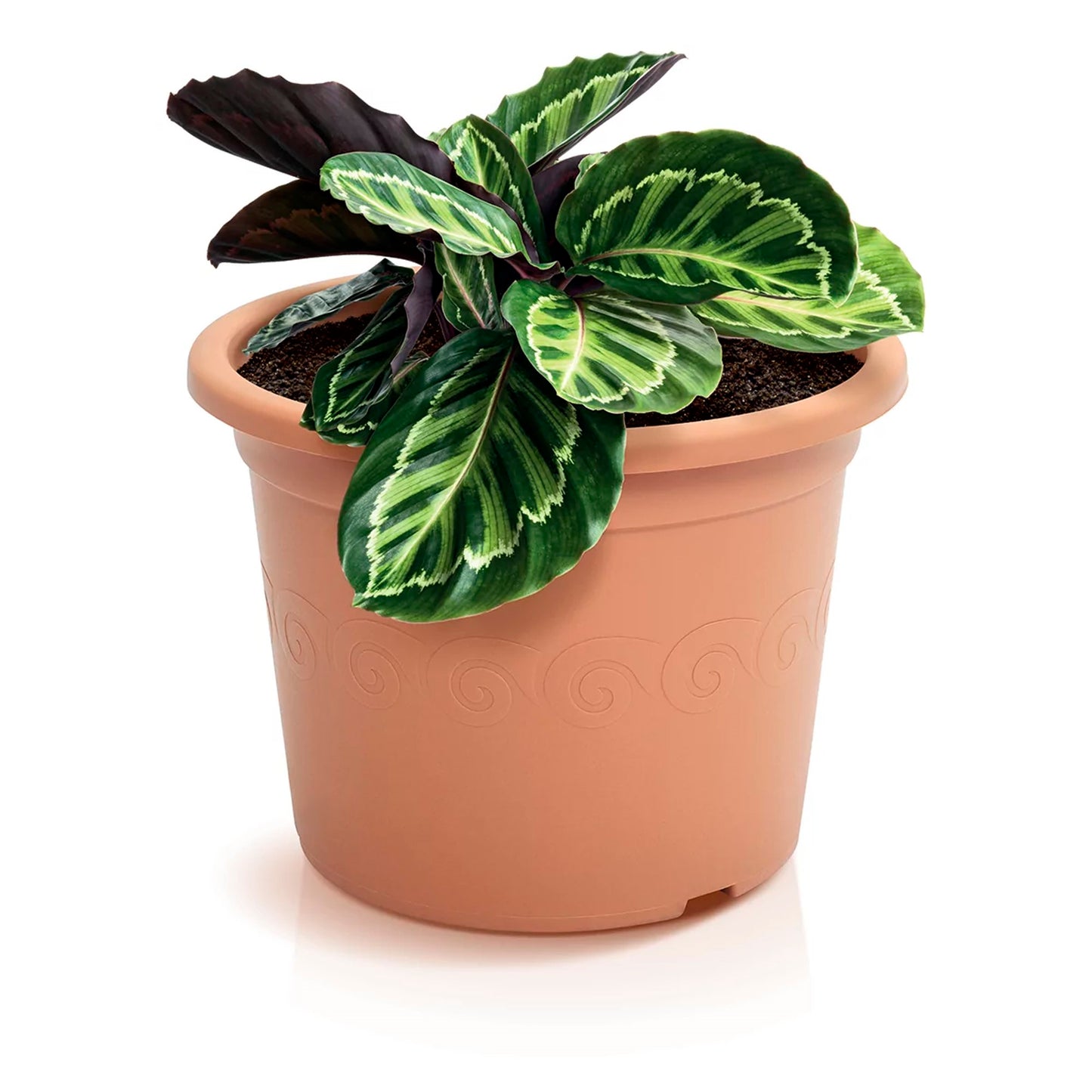 Maceta Plastica 2,5l., Dimensiones (mm) 200x200x150, Color Terracota