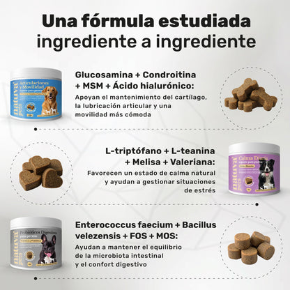 Pack Condroprotector + Calmante + Probiótico Para Perros. Suplementos Mascotas. 360 Masticables. Natuva Pets_2