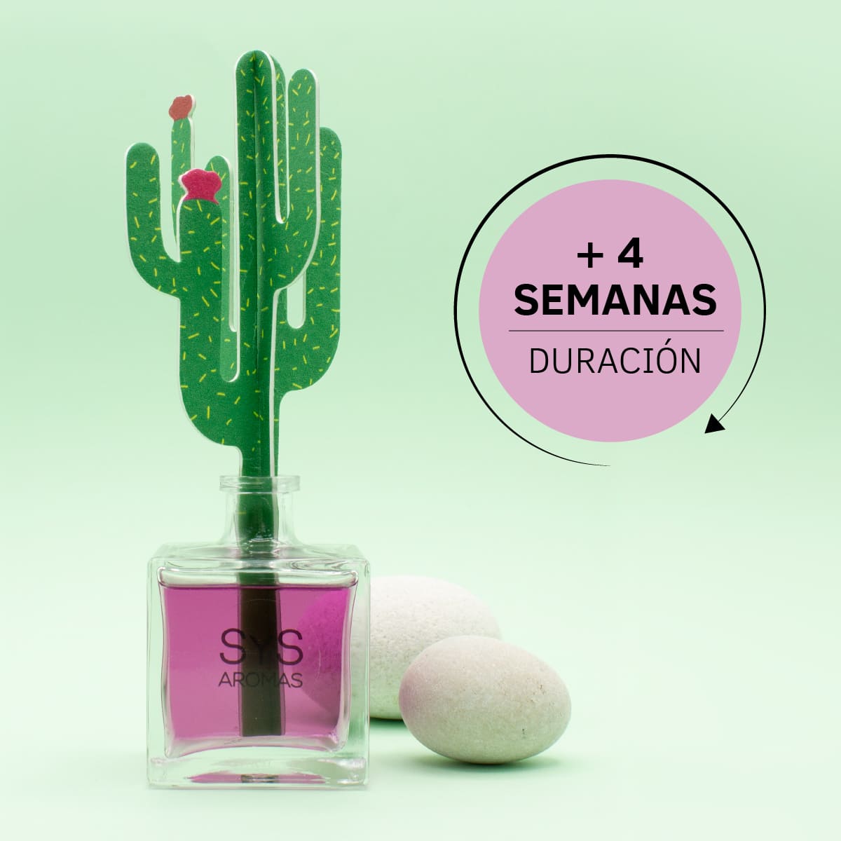 Difusor de Varillas Cactus Lavanda 90 ml | Aroma Floral Relajante | Mikado Decorativo | Ambiente Calmante_4