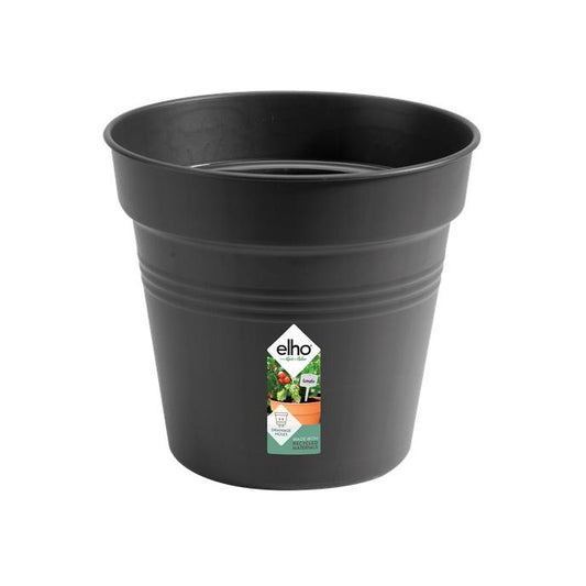 Vaso Elho Antracite Green Basics 15 cm