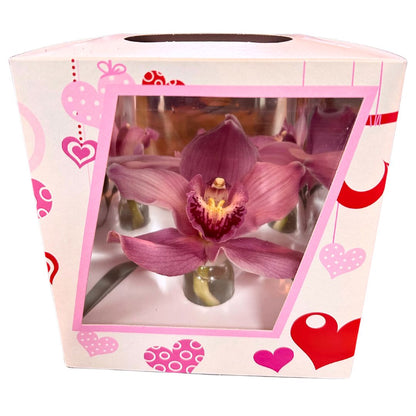 Orquídea Flor En Caja Especial Para Regalo_0