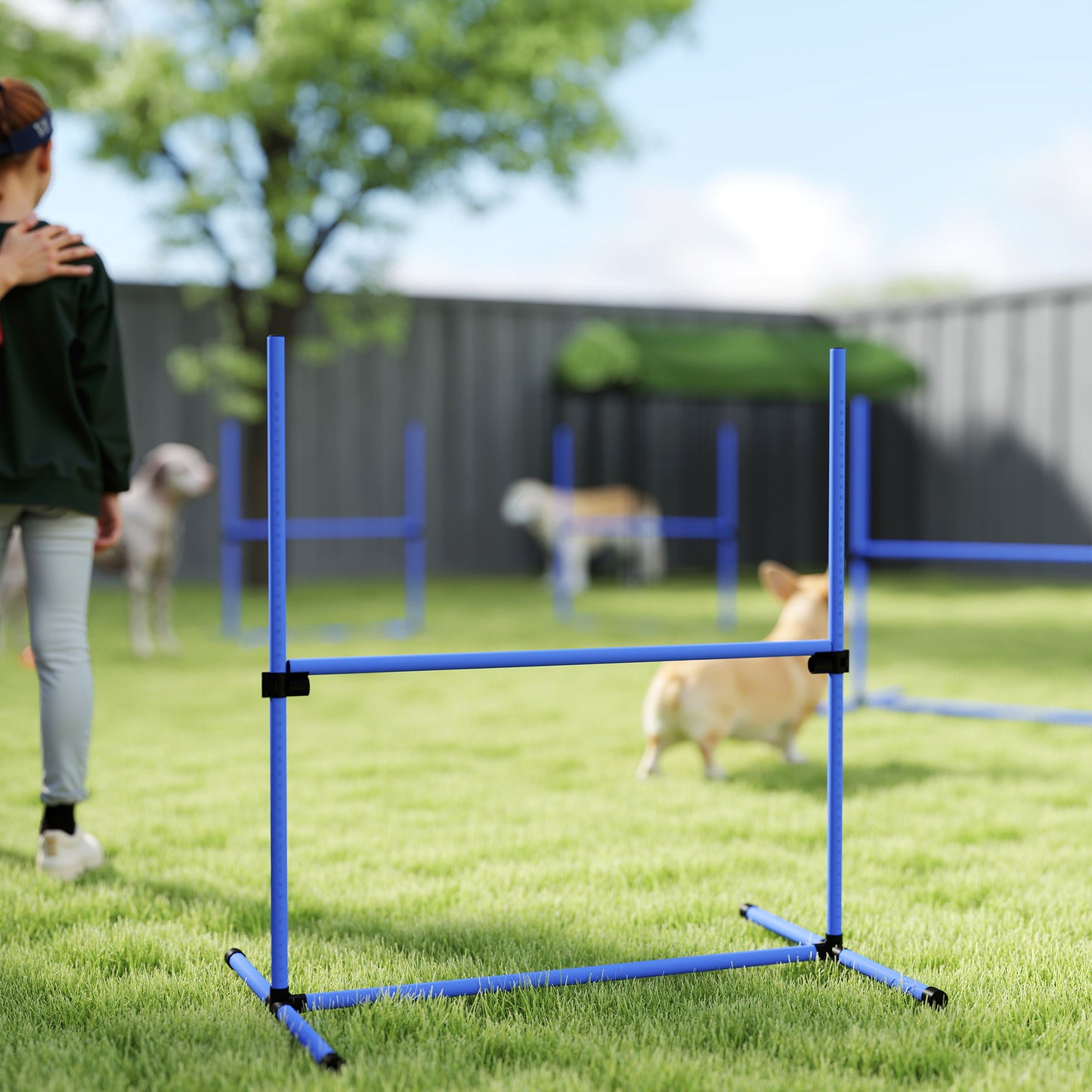 Pawhut Set Entrenamiento Agilidad Perros 4 Vallas De Salto Con Altura Ajustable_4