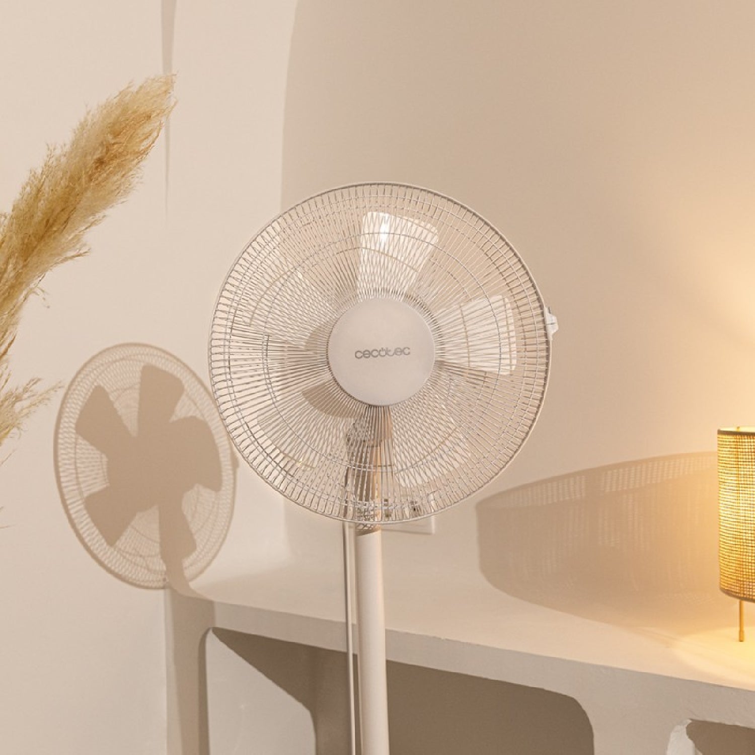 Cecotec Ventilador De Pie Energysilence 535 2in1_2