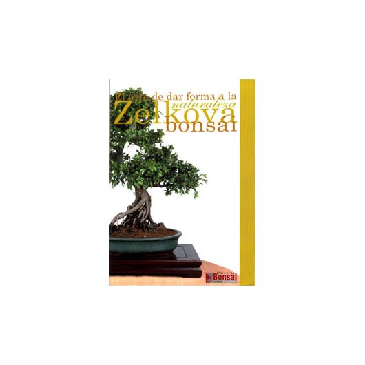 Guia de Bonsai Zelkova
