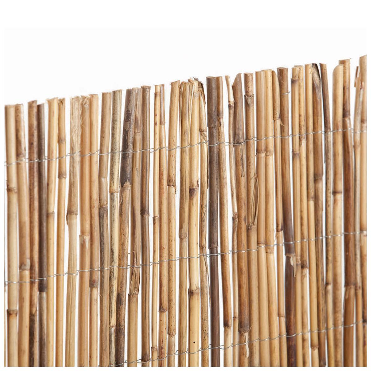 Cana de bambu inteira 1,5x5 m